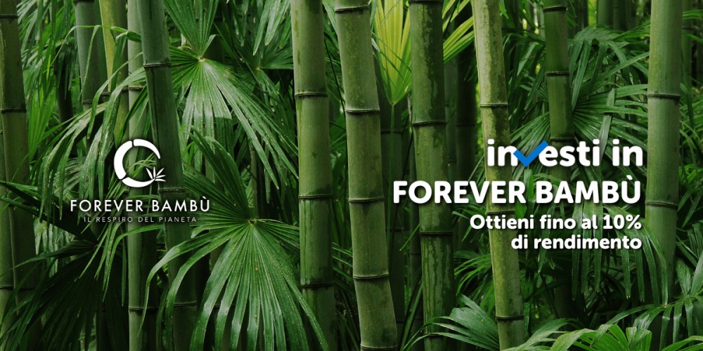Campagna equity crowdfunding Forever Bamb&ugrave; - CDR
