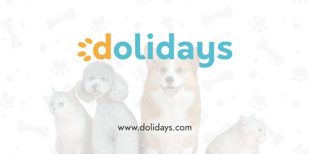 Campagna equity crowdfunding Dolidays