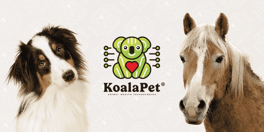Campagna equity crowdfunding Koala Pet - secondo round
