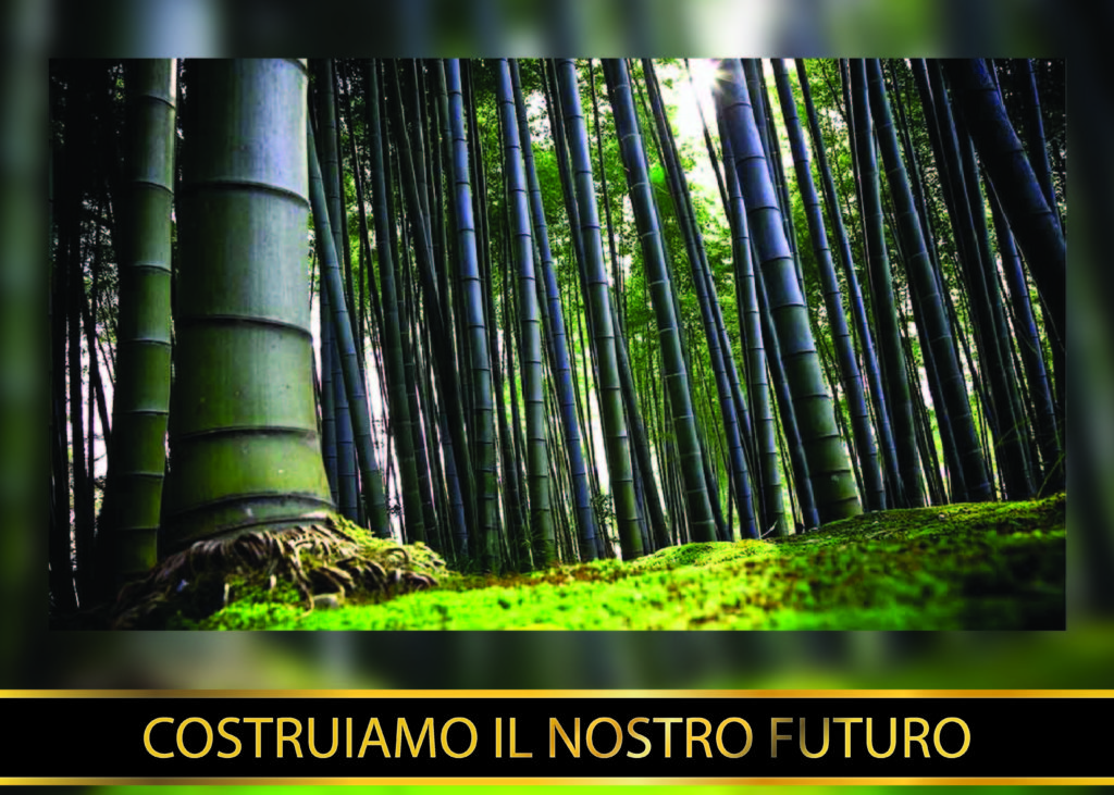 Forever Bambù 28 tranche 1 equity crowdfunding Opstart