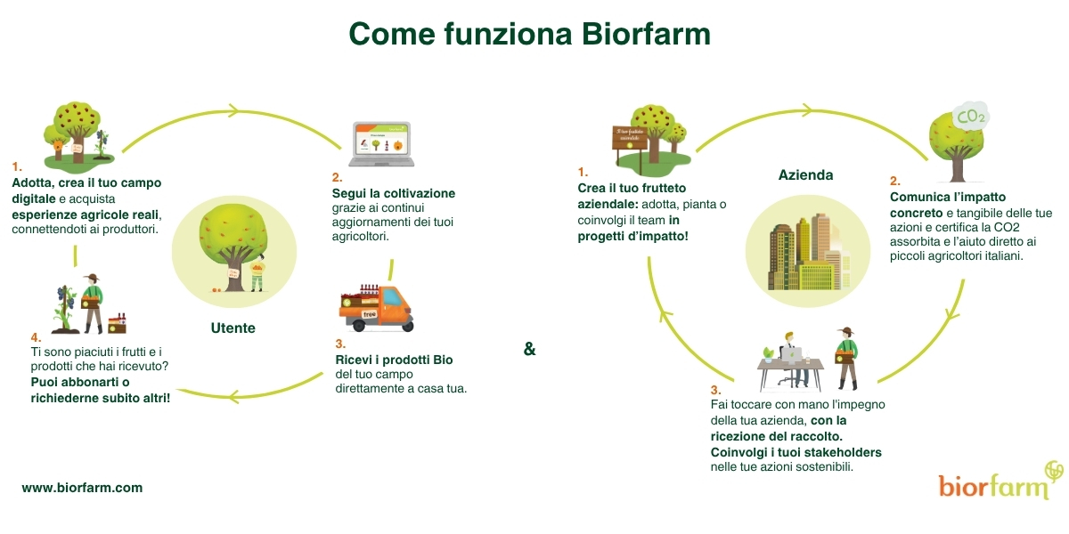 grafico con i passaggi di come funziona biorfarm per campagna equity crowdfunding