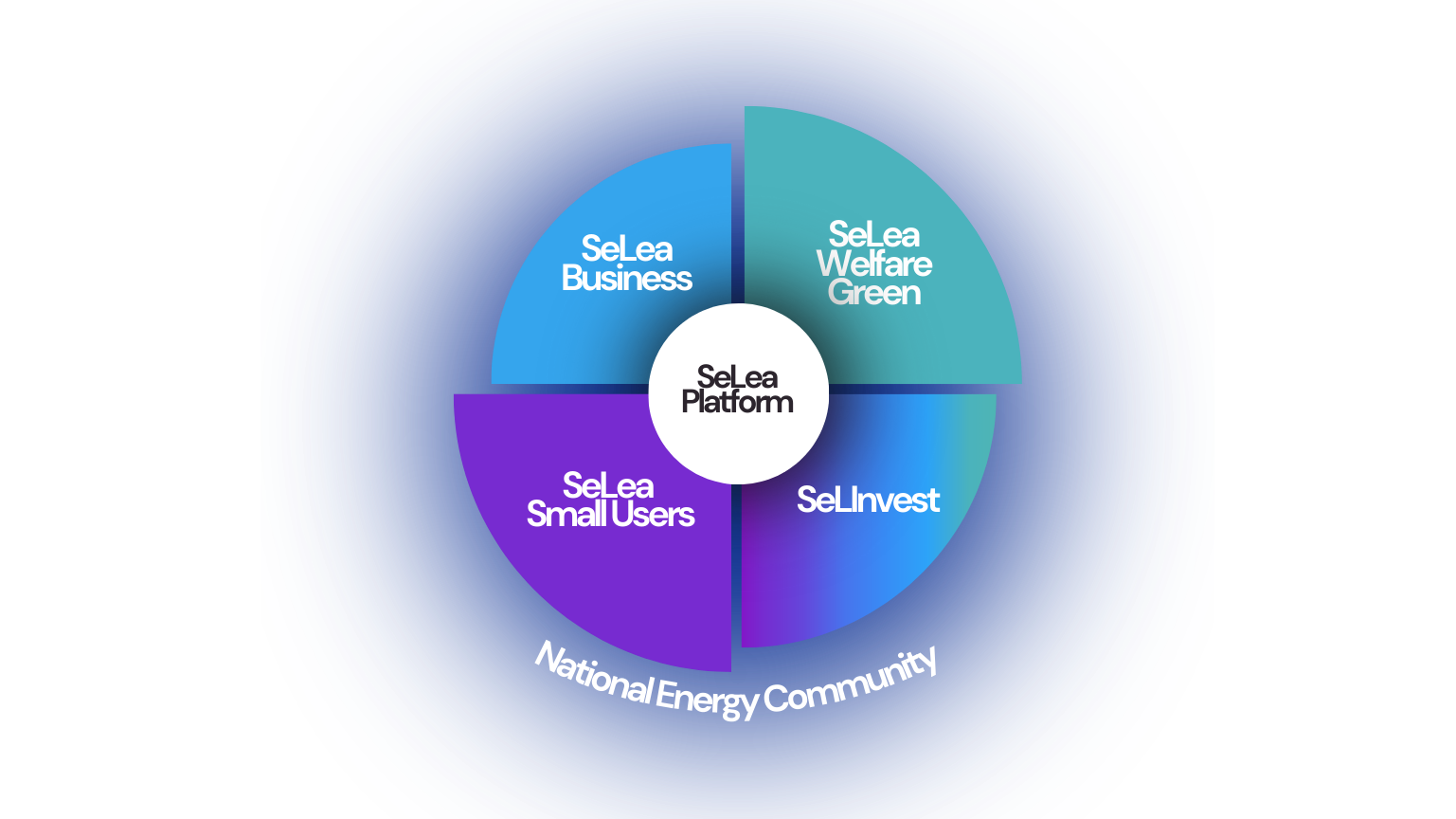 seLea structure chart for selinvest’s equity crowdfunding campaign