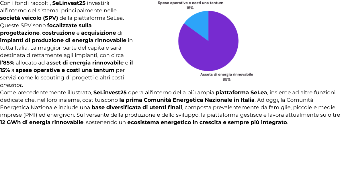 immagine descrizione e grafico utilizzo capitali raccolti per la campagna equity crowdfunding di selinvest