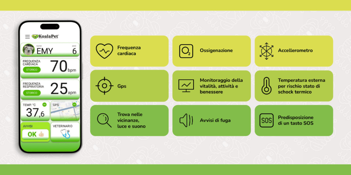 immagine della business idea di Koala Pet per la campagna di equity crowdfunding su Opstart